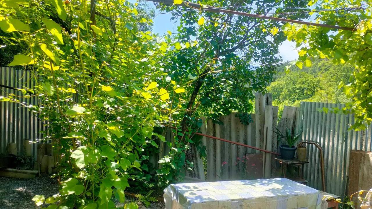 Guest House Gogias Cixe Borjomi Exterior photo