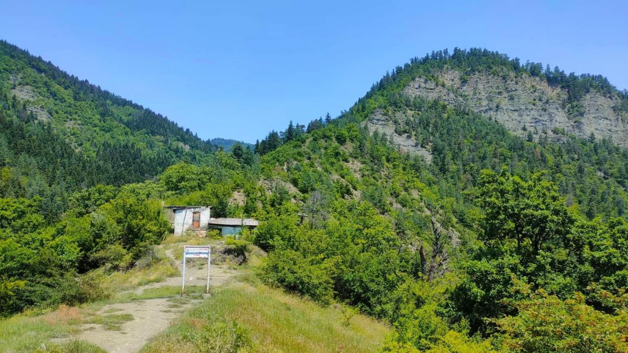 Guest House Gogias Cixe Borjomi Exterior photo
