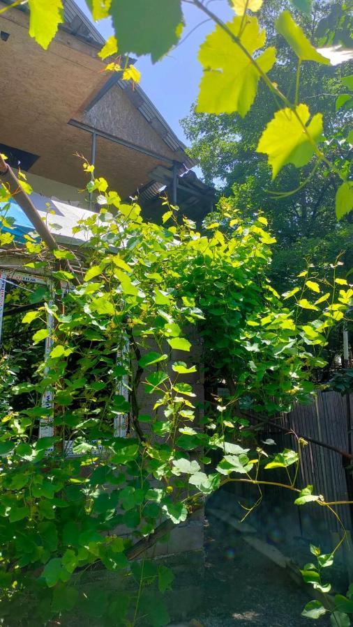 Guest House Gogias Cixe Borjomi Exterior photo