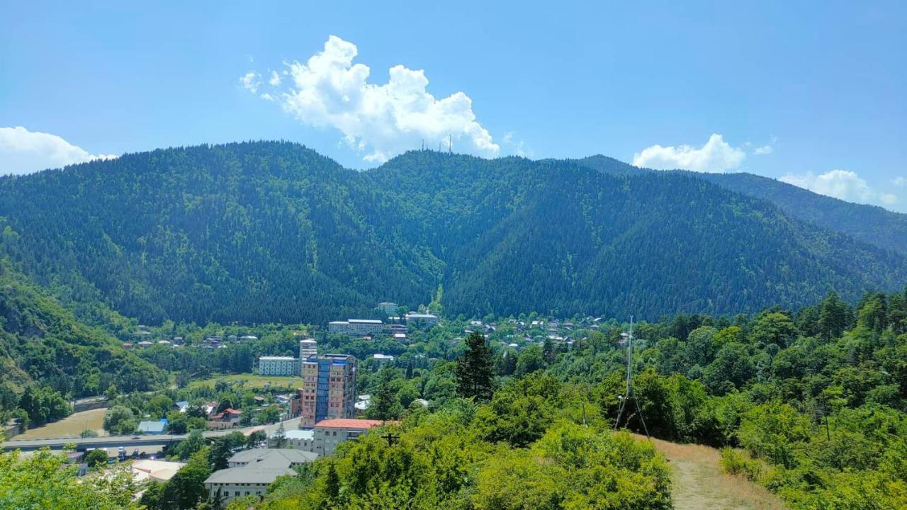 Guest House Gogias Cixe Borjomi Exterior photo