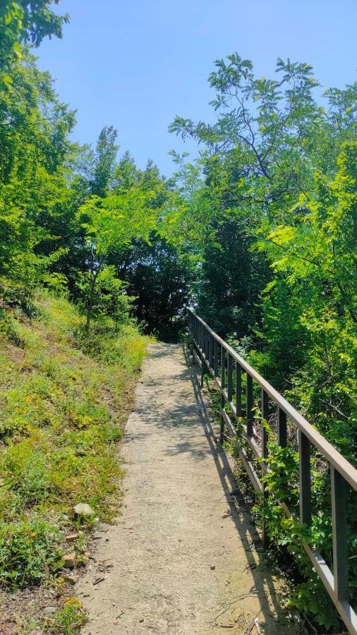 Guest House Gogias Cixe Borjomi Exterior photo