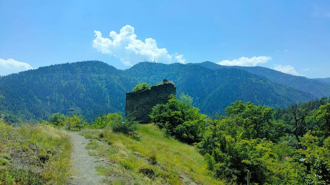 Guest House Gogias Cixe Borjomi Exterior photo